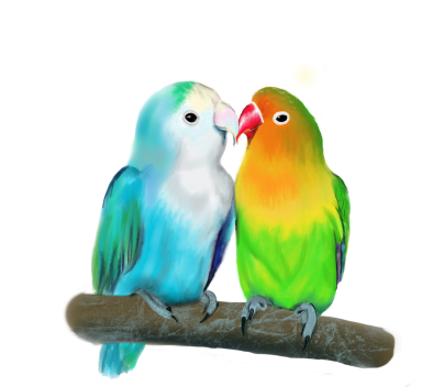 Lovebirds on a branch